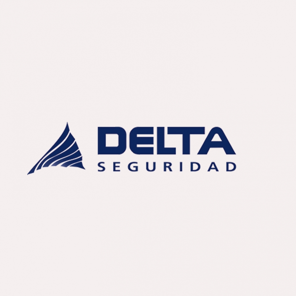 delta-seguridad-logo