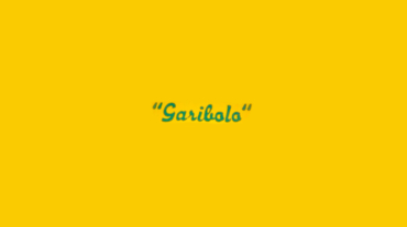 garibolo-vegetariano-bilbao-web